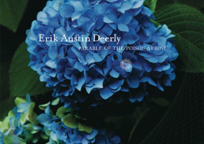 Parable of the Poison Arrow