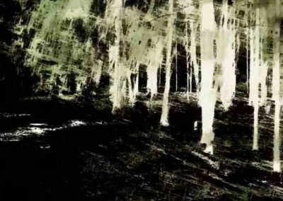 Wandering Mind’s Woods